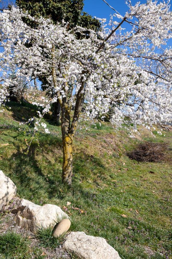 La Cascina Dei Ciliegi Apartment Arona Bagian luar foto